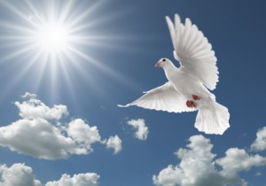 Inner Peace