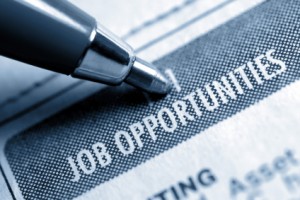 Perfect Job