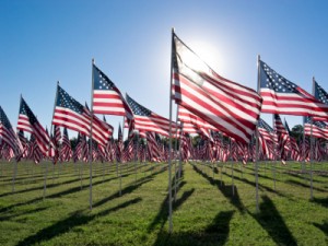 American Flags